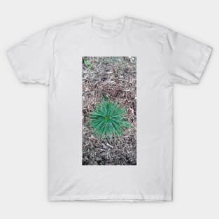 From Above T-Shirt